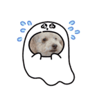 わんわん♫スタンプ（個別スタンプ：9）