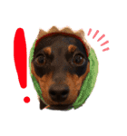 I AM カーメロ（個別スタンプ：1）