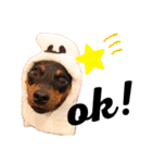 I AM カーメロ（個別スタンプ：3）