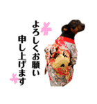 I AM カーメロ（個別スタンプ：17）