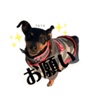 I AM カーメロ（個別スタンプ：22）