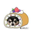 コロンくん＆ココアちゃん♡（個別スタンプ：3）