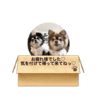 コロンくん＆ココアちゃん♡（個別スタンプ：4）