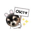 コロンくん＆ココアちゃん♡（個別スタンプ：6）