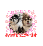 コロンくん＆ココアちゃん♡（個別スタンプ：8）