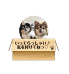 コロンくん＆ココアちゃん♡（個別スタンプ：21）