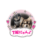 コロンくん＆ココアちゃん♡（個別スタンプ：23）