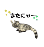 うちの虎太の日常♡（個別スタンプ：6）