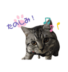 うちの虎太の日常♡（個別スタンプ：10）