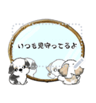 シーズー犬『メッセージ』（個別スタンプ：16）