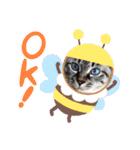 もちゃ＆さゆちゃん（個別スタンプ：5）