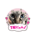もちゃ＆さゆちゃん（個別スタンプ：11）