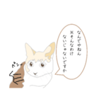 関西弁の猫(訳付き)（個別スタンプ：7）