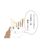 関西弁の猫(訳付き)（個別スタンプ：9）