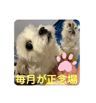 ❤️めりるの思い❤️（個別スタンプ：2）