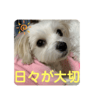 ❤️めりるの思い❤️（個別スタンプ：3）