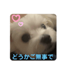 ❤️めりるの思い❤️（個別スタンプ：5）