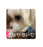 ❤️めりるの思い❤️（個別スタンプ：7）
