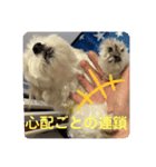 ❤️めりるの思い❤️（個別スタンプ：8）