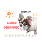 きくちゃん♡スタンプ（個別スタンプ：1）