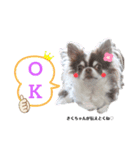 きくちゃん♡スタンプ（個別スタンプ：5）