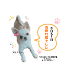 ♡ランちゃん♡スタンプ（個別スタンプ：4）