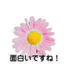 日常で使える彩り花スタンプ(敬語ver)（個別スタンプ：8）