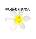 日常で使える彩り花スタンプ(敬語ver)（個別スタンプ：10）