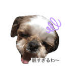 武志と北翔（個別スタンプ：6）
