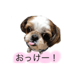 武志と北翔（個別スタンプ：8）