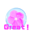 日常に使える彩り花スタンプ（English)（個別スタンプ：1）