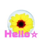 日常に使える彩り花スタンプ（English)（個別スタンプ：3）