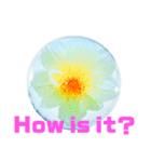 日常に使える彩り花スタンプ（English)（個別スタンプ：5）