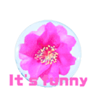 日常に使える彩り花スタンプ（English)（個別スタンプ：10）