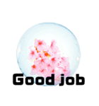 日常に使える彩り花スタンプ（English)（個別スタンプ：11）