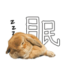 ぼつ、銀坊。2（個別スタンプ：1）