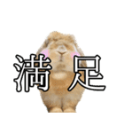 ぼつ、銀坊。2（個別スタンプ：2）