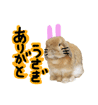 ぼつ、銀坊。2（個別スタンプ：3）