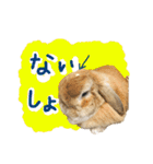 ぼつ、銀坊。2（個別スタンプ：4）