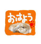 ぼつ、銀坊。2（個別スタンプ：6）