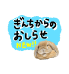 ぼつ、銀坊。2（個別スタンプ：11）