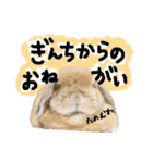 ぼつ、銀坊。2（個別スタンプ：12）
