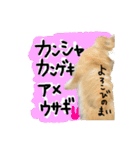 ぼつ、銀坊。2（個別スタンプ：13）