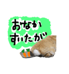 ぼつ、銀坊。2（個別スタンプ：14）