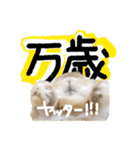 ぼつ、銀坊。2（個別スタンプ：15）