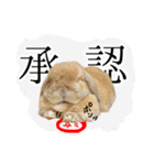 ぼつ、銀坊。2（個別スタンプ：16）