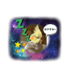 セキセイ時々オカメ（個別スタンプ：3）