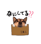 ♡徳ちゃんの日常♡（個別スタンプ：6）