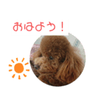 ティナのスタンプ14（個別スタンプ：1）