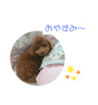 ティナのスタンプ14（個別スタンプ：2）